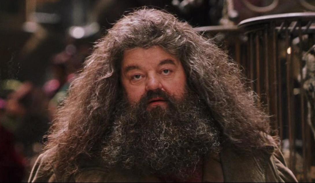 Robbie Coltrane, O Hagrid De Harry Potter, Morre Aos 72 Anos | History ...